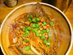-苗小坛酸汤鱼(酒仙桥店)