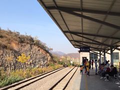 -黄金寨原生态旅游区