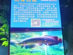 -梦幻海洋王国(吾悦广场张家港店)