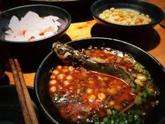 -三道苗苗鱼·美蛙黄辣丁(八里店)