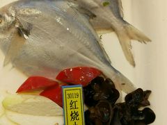 -老宁波1381餐厅(宏泰广场店)