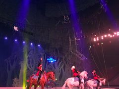 -灵玲国际马戏城