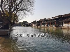 -西塘人家•黑金冠本地好店