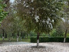 -红山国家森林公园