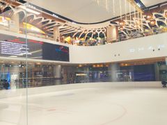 -TheRink大零溜冰场(IFS国金中心店)