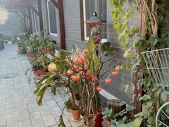 -100家灵感仓库·DIY团建(什刹海店)