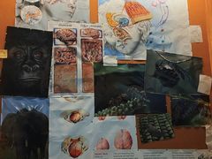 -珠海横琴国家地理探险家中心(创新方)