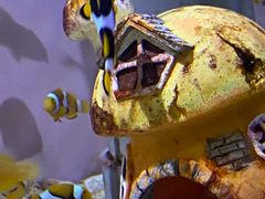 -欢乐海岸海洋奇梦馆