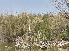 -处女泉风景名胜区