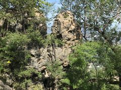 -阳台山自然风景区