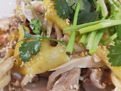 -东鸽皇(奥园·中环广场店)