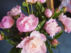 -爱乐蒙艺术·古筝 钢琴 声乐(科华校区)