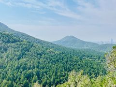 -佛慧山