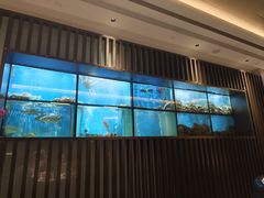 -珍宝海鲜JUMBO Seafood(尚嘉店)