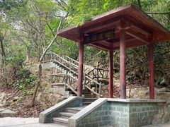 -清溪森林公园