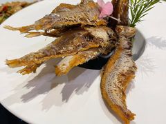 -上海1号私藏菜(静安店)