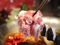 -湊湊火锅·茶憩(颐堤港店)