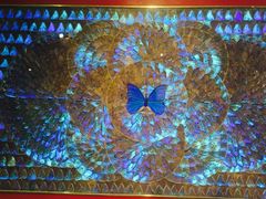 -上海昆虫博物馆