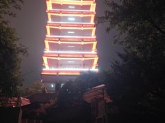 -鹅岭公园瞰胜楼