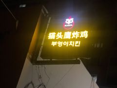 -猫头鹰炸鸡