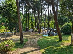 -铁山坪森林公园