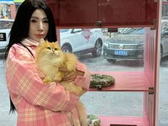 -青奢宠物·青奢猫舍