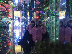 -迷斯伍德星空博物馆