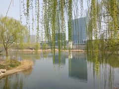 -大兴滨河森林公园