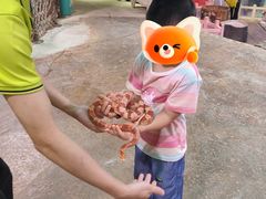 -正佳雨林生态植物园