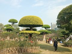 -南宁南湖公园