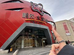 -鹏欣水游城