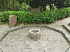 -上海佘山国家森林公园天马山园