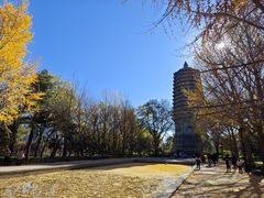 -玲珑塔公园