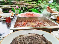 -凤来栖·净庭院·火锅(欧尚店)