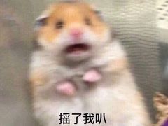 -大叔家福鼎小吃(十全街店)