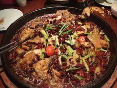 -老板恋上鱼(高新万达店)
