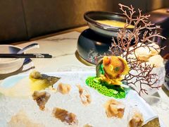 -无界釜·河豚鱼汤锅(红山动物园店)