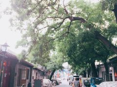 -北京国子监胡同