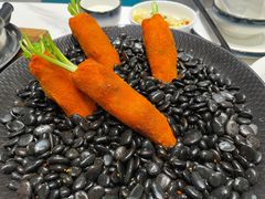 -丁老爷子苏香圆