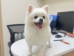 -宠颐生猫科·内科皮肤科(西平世纪城店)