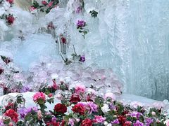 -洛阳白云山景区