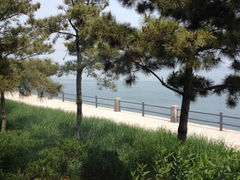 iphone_upload_pic-海草馆自助餐厅(悦海店)