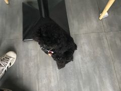 -蜜蜂小象·榴莲千层蛋糕(时代汇11栋店)