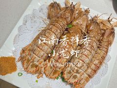 皮皮虾-江南香鲜香小龙虾(新疆总店)
