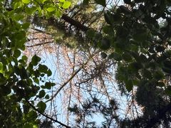 -洨河生态公园