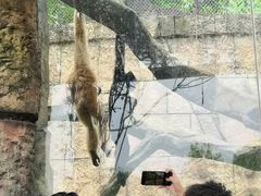 -南昌动物园