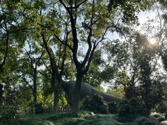 -上海海湾国家森林公园