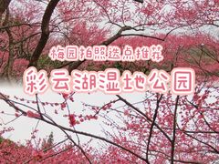 -重庆彩云湖湿地公园