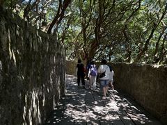 -普陀山慧济禅寺