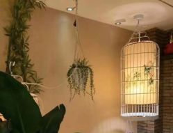 -威思丽高温瑜伽会馆